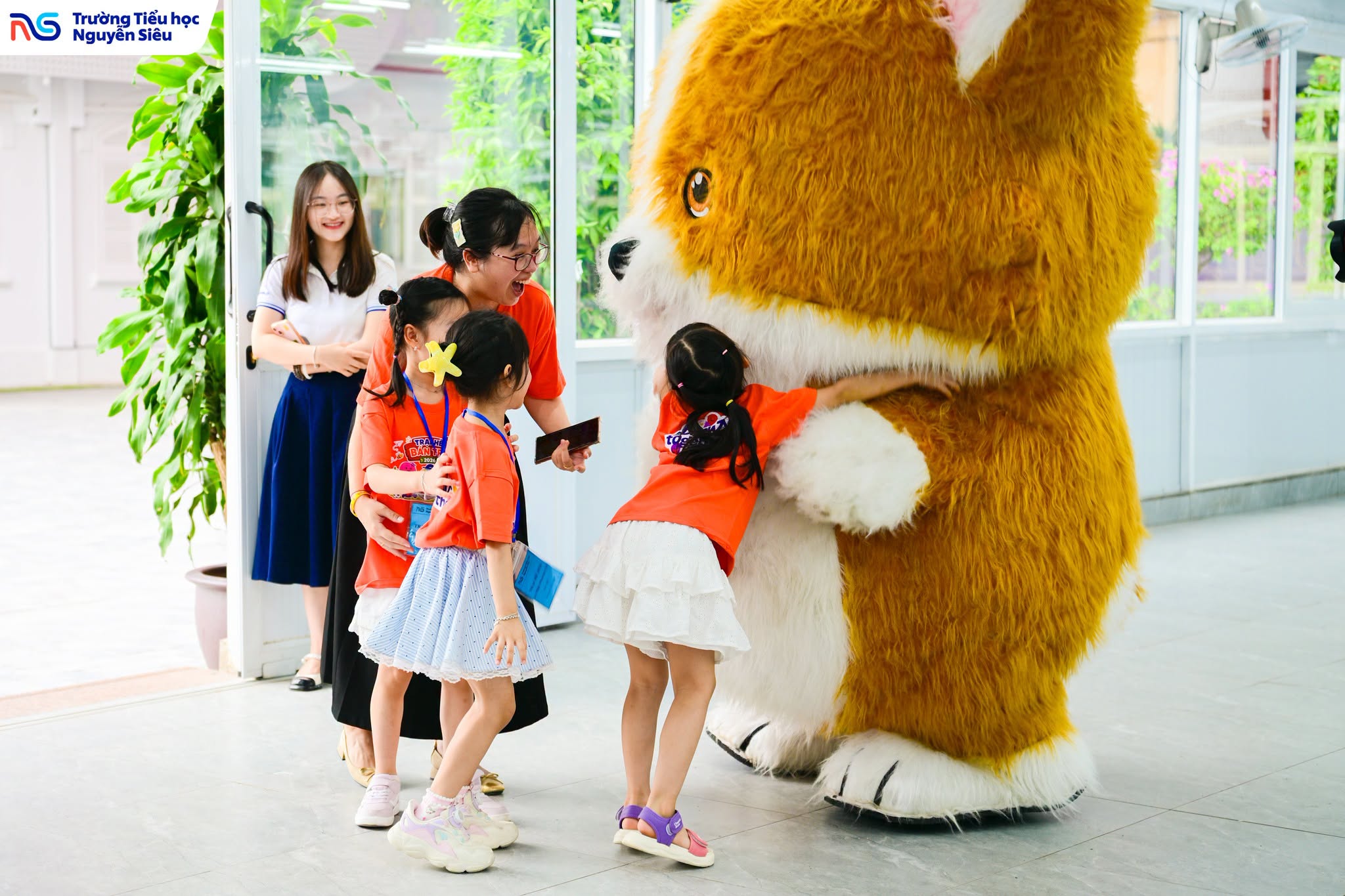 Trại hè 2026